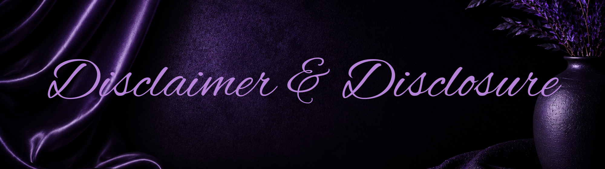 Disclaimer & Disclosure