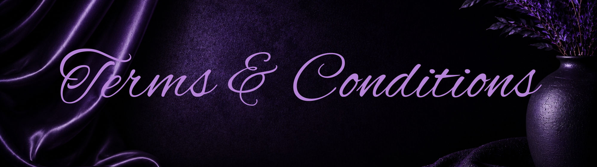 Terms & Conditions